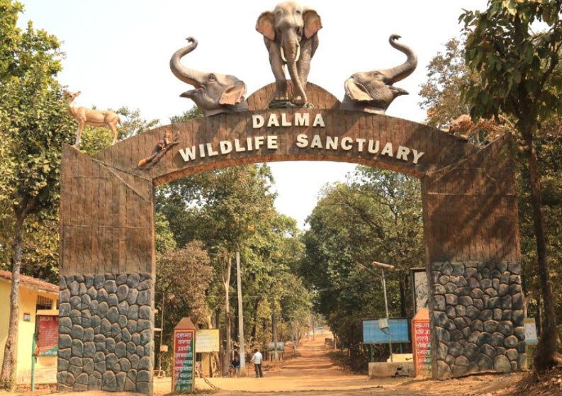 Dalma Wildlife Sanctuary, East Singhbhum, Jharkhand - Vushii.com Dalma Wildlife Sanctuary, East Singhbhum, Jharkhand - Vushii.com